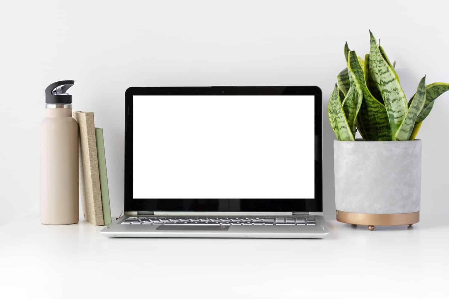 A laptop with a green plant, two notebooks and a water bottle next to it on a desk