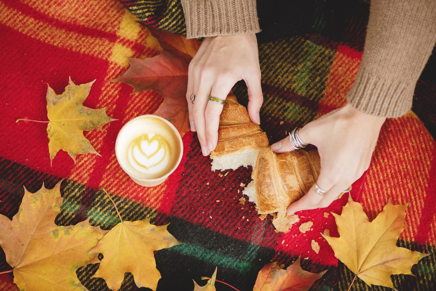 A woman breaking a croissant in half on a fall picnic