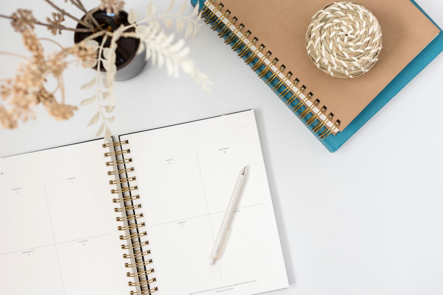 Notebooks, pen and a plant